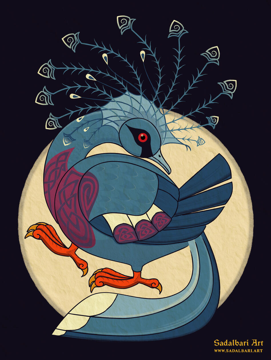 Victoria crowned pigeon (Goura victoria)